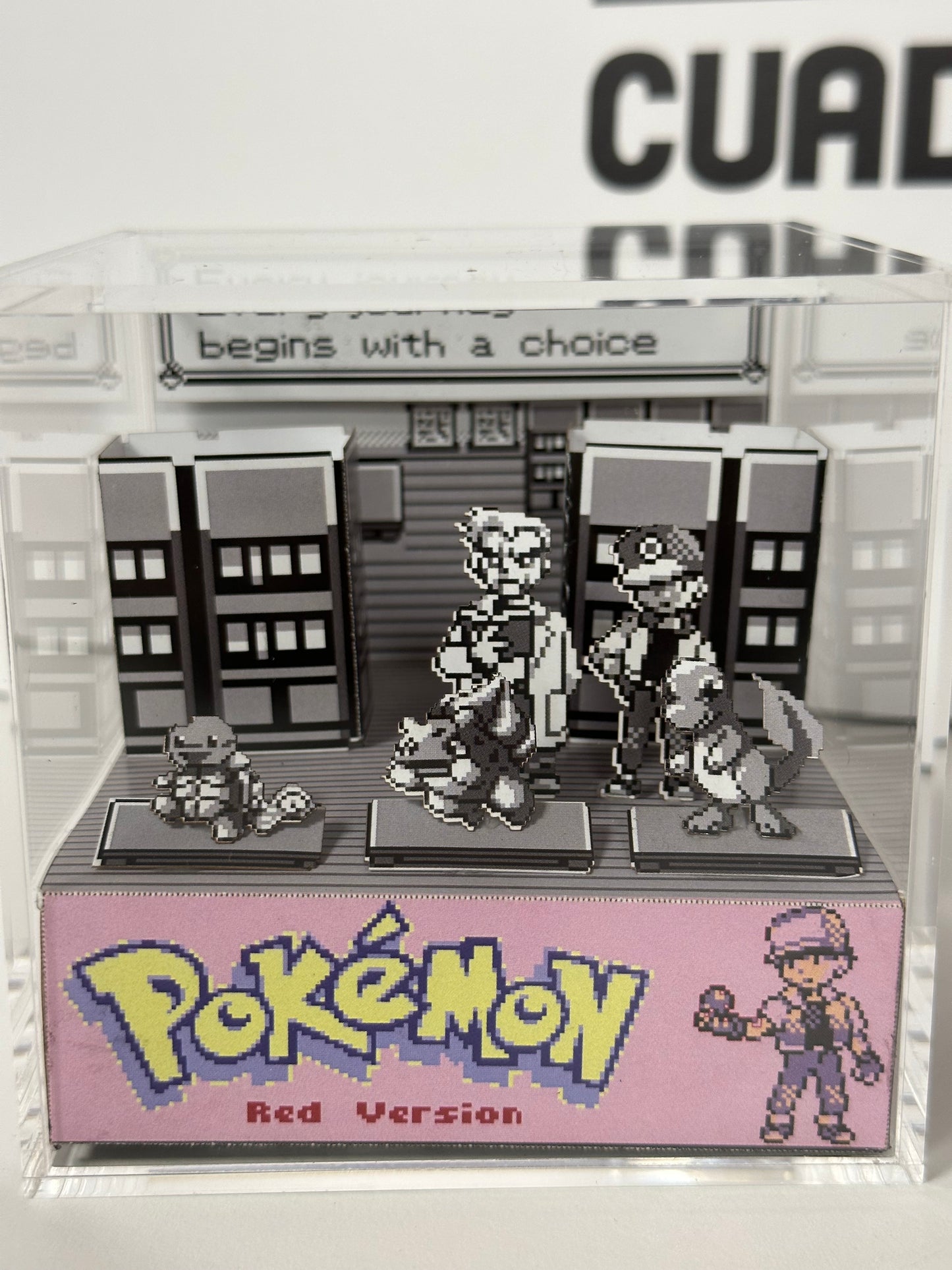 Pokémon Red - Selection