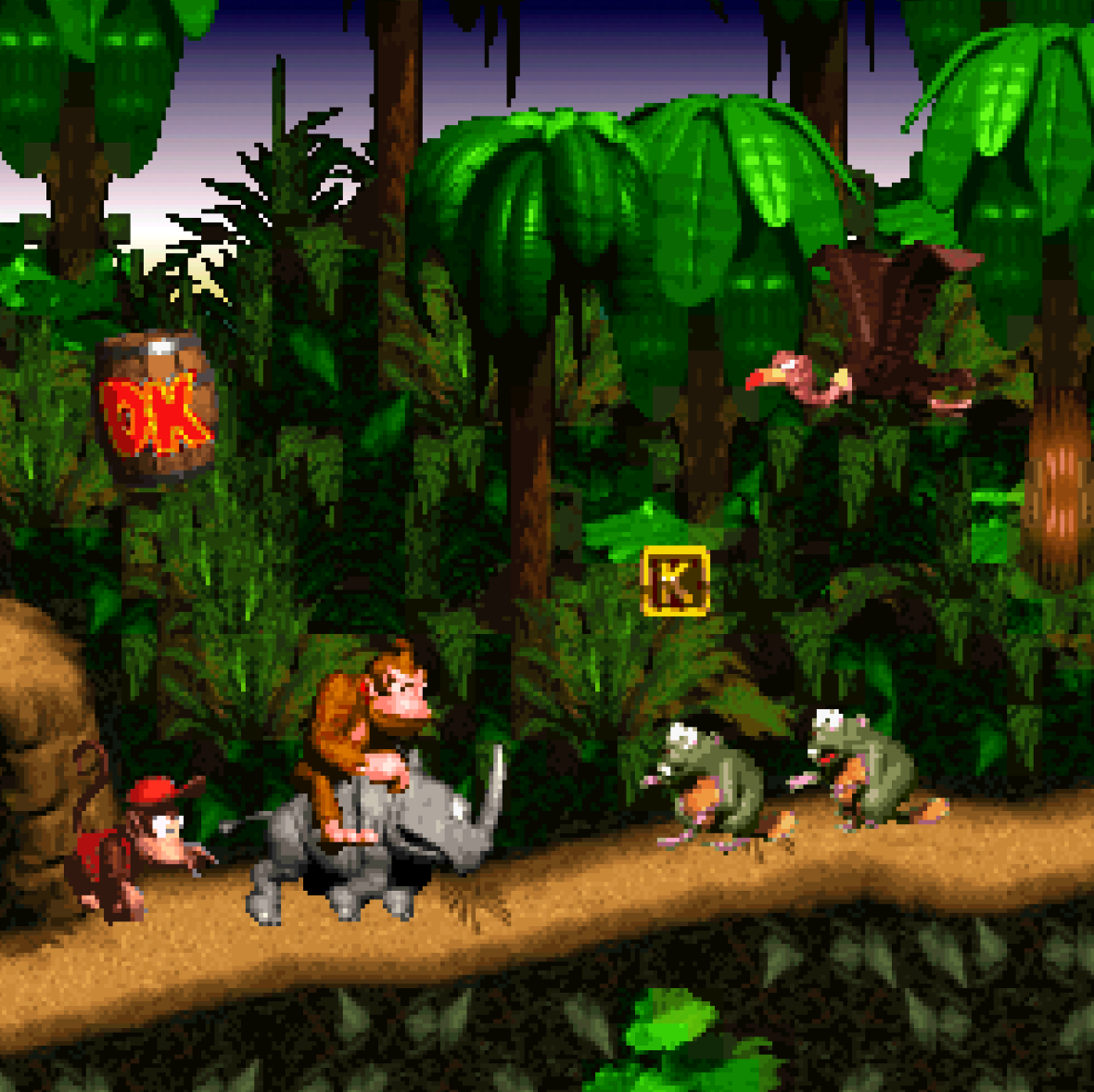 Donkey Kong Country