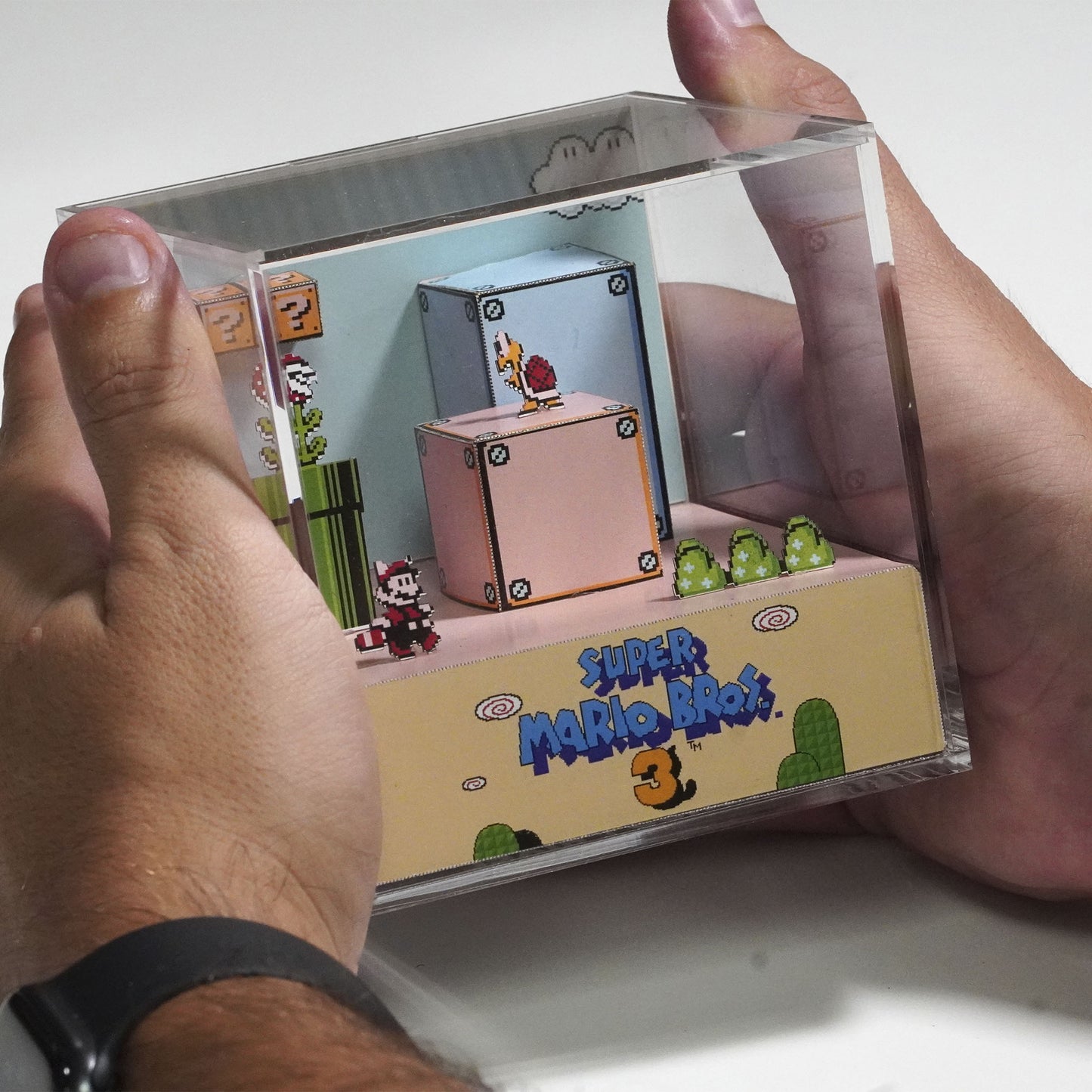 Super Fontanero Bros 3 - Cubo